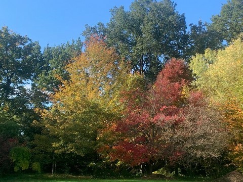 Recherche de financement